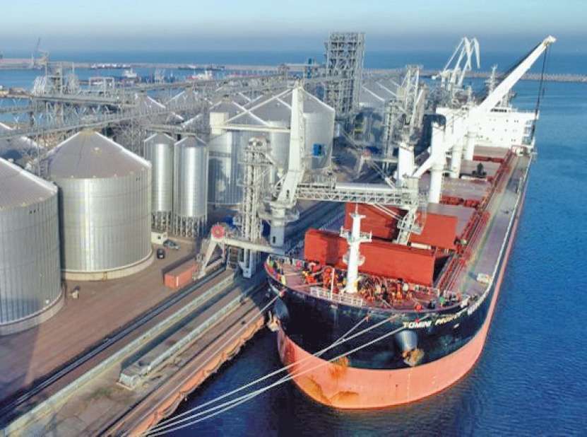 Un europarlementar irlandez arată că UE nu și-a ținut promisiunea față de ONU, cu privire la destinația cerealelor exportate