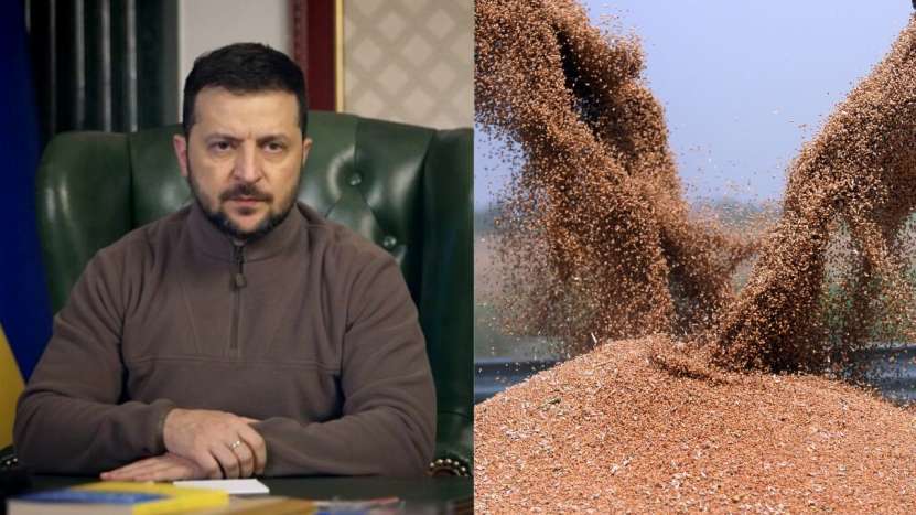 S-a supărat Zelenski și pe Polonia: El  interzice demnitarilor ucrainieni să călătorească în țara vecină, deoarece Polonia nu mai importă cereale ucrainiene!