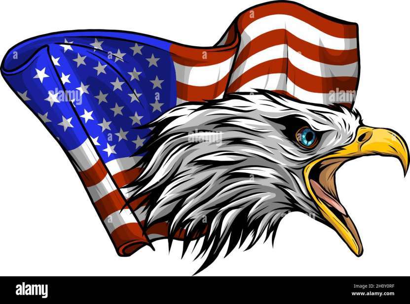 În cazul în care Rusia ar fi înfrântă și ocupată, America singură va jefui bogățiile ei. Atunci de ce să lupte împotriva Rusiei țările europene?