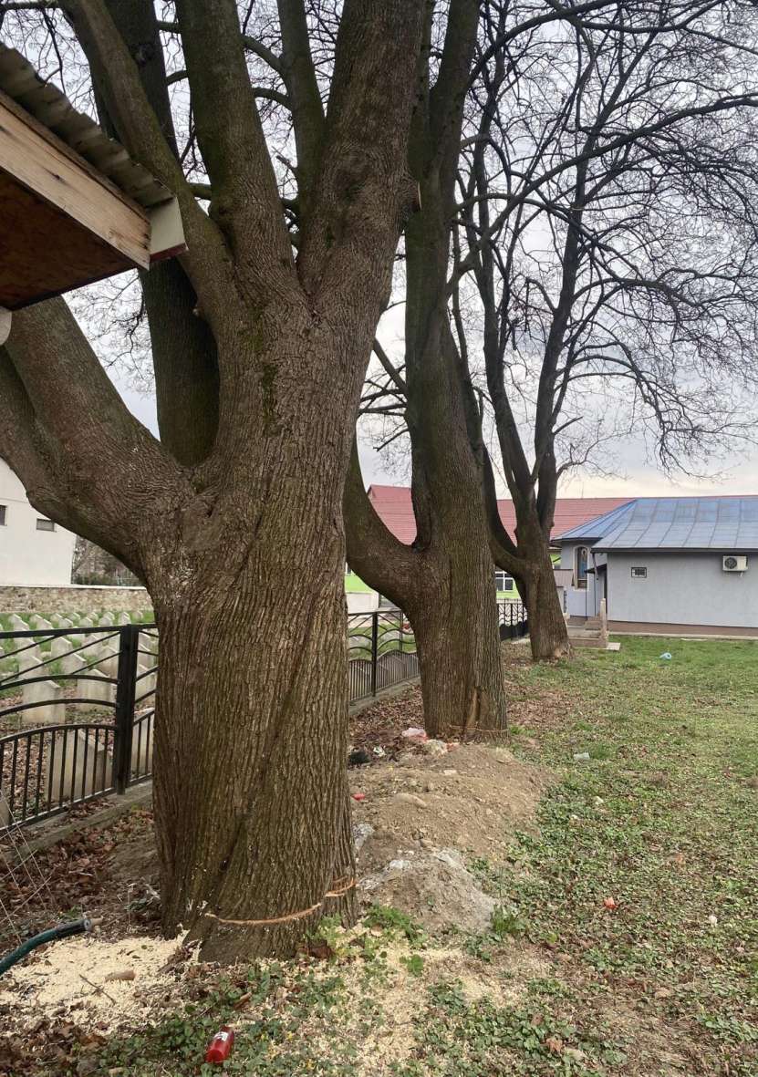 Preot Marius Lauruc, Vicariatul Ortodox Ucrainean: Atentat terorist la Cimitirul ucrainean & Cimitirul Eroilor Sovietici Sighet