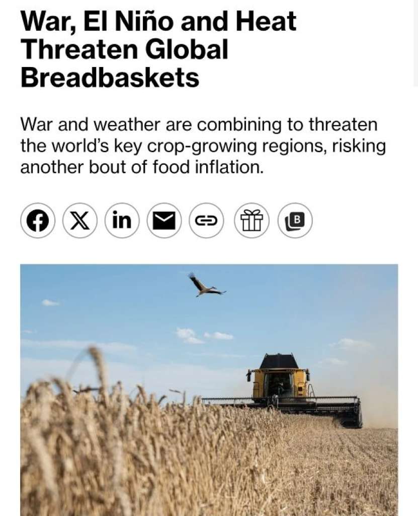 Ne așteaptă și o foamete? Fenomenul El Niño și valurile de căldură amenință culturile agricole de bază (Bloomberg)