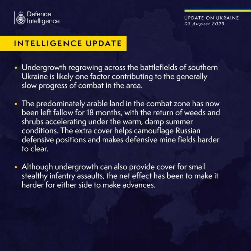 Paranoia analizei militare britanice la zi: Contraofensiva ucraineană nu a putut înainta, pentru că pe câmpul de luptă au crescut între timp buruieni și tufișuri după care se ascunde inamicul!