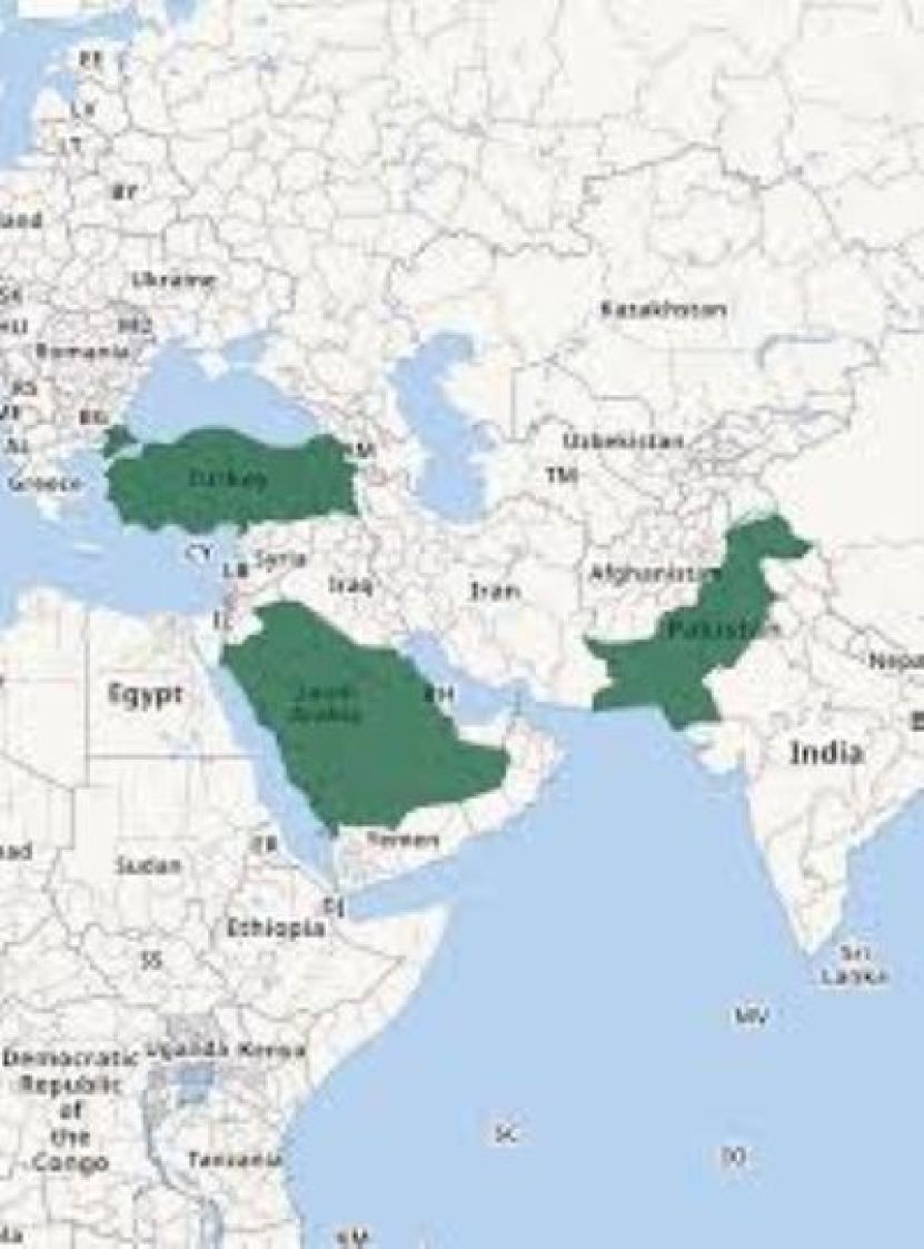Un pact militar între țări islamice importante se extinde și înconjoară Israelul, după modul în care șerpii gigantici se încolăcesc în jurul prăzii